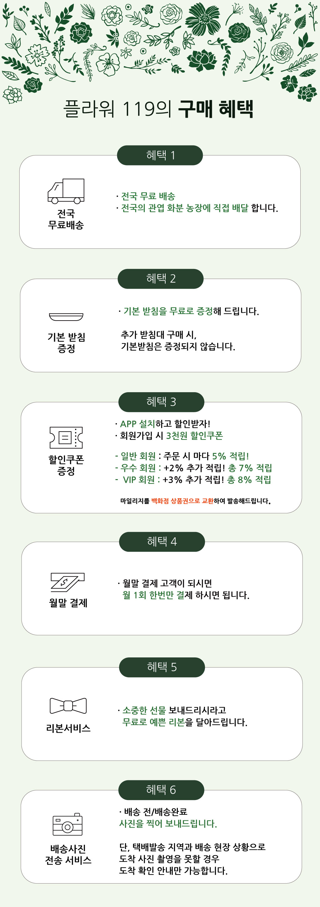 개업과 승진의 기쁨을 함께 나누며, 노랑 호접란